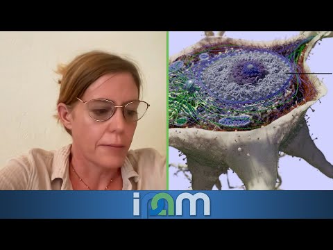 Jessica Flack - Collective intelligence as collective computation: Future directions