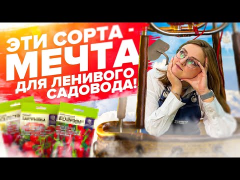 ПОДБОРКА ОВОЩЕЙ ДЛЯ "ЛЕНИВЫХ" И НОВИЧКОВ В ОГОРОДЕ!