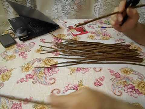 06. 03. 2023 г. Для Натальи Пугачёвой одревесневшее черенкование.