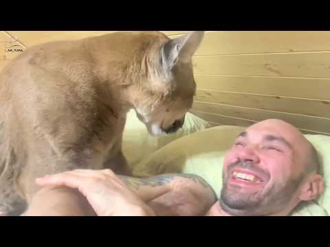 Puma Messi instead of an alarm clock!