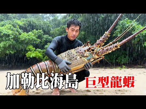 加勒比海島荒島生存挑戰第二天!天氣糟糕海水渾濁食物獲取困難,多次下海只抓到一隻龍蝦#探索兄弟 #加勒比海 #拉丁美洲 #龍蝦