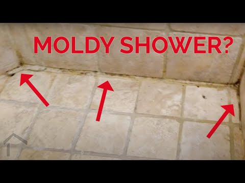 Moldy Shower? Why Showers Can Get Moldy -- Three Mistakes to Avoid When Building Yours