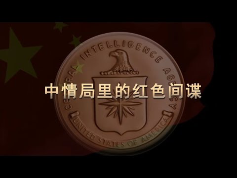 解密时刻：中情局里的红色间谍