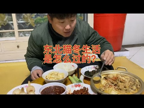 真实的东北猫冬生活，冷的不愿起来一趴能趴一天，有想来体验的吗【东北鸭蛋说白了】