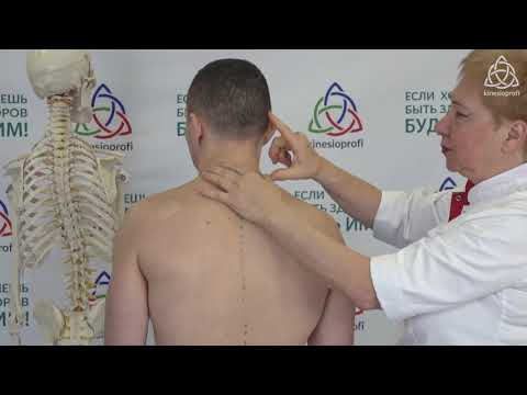 How to Quickly Cope with Pain by L.F. Vasilyeva, Manage Pain 2020 Masterclass