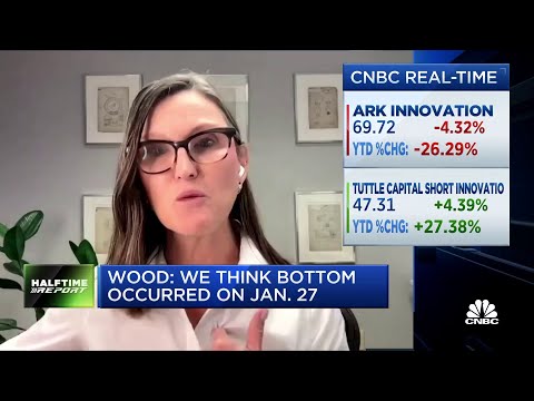 People betting against us are shorting innovation, says Cathie Wood