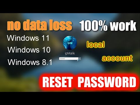 How To Reset Forgotten Password In Windows 11, 10, 8.1 ➡️Without Losing Data➡️Without programs[2025]