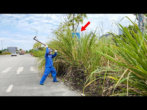 Neighborhood Couldn't Believe they Would See this Sign Again, Abandoned Sidewalk Reviving Satisfying