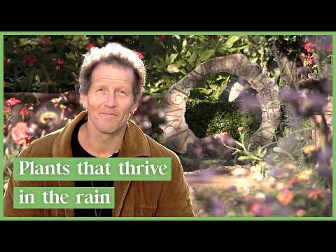 Monty Don Explores a Jungle Backyard in a Wetland Bog | Season 4 | Full Episodes | Gardeners' World