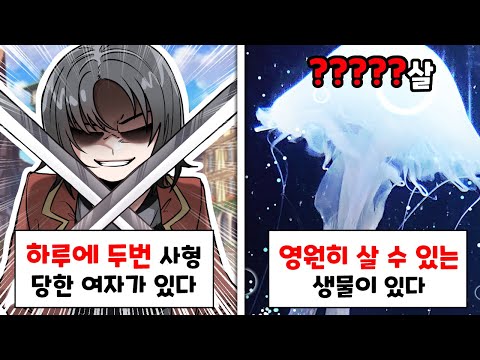 이게 어떻게 진짜야...?? [취무등을 위한 이왜진 월드컵]