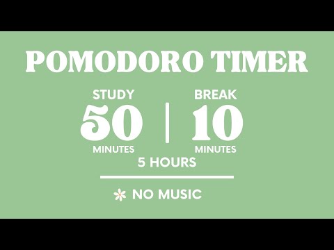 📚STUDY WITH ME FOR 5 HOURS  | 50 MINS STUDY / 10 MINS BREAK | NO MUSIC | WITH ALARMS