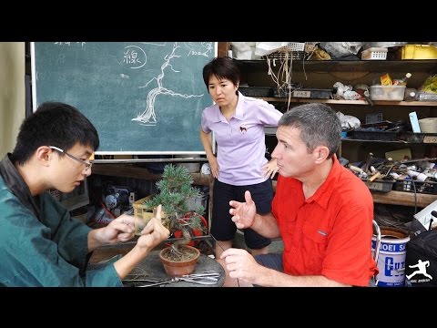 Japan: A Day and Night in Bustling Tokyo