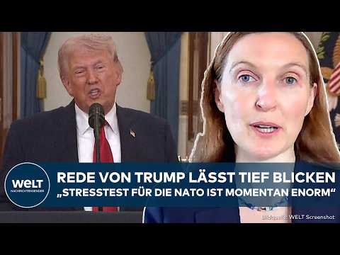 IRAN WAR: Is NATO on the brink? Donald Trump ignores military alliance – experts see risks