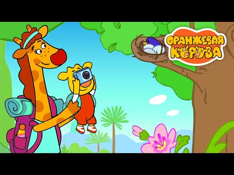 Оранжевая Корова 213 серия 🐮 Юные натуралисты 🐮 Мультики для детей