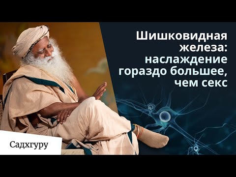 Шишковидная железа: наслаждение гораздо большее, чем что-либо еще