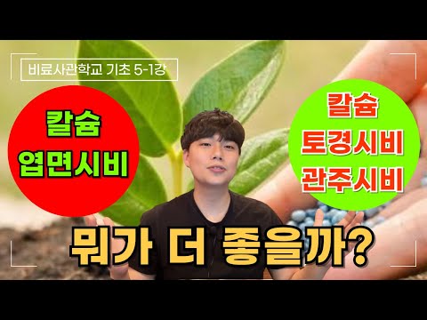 칼슘비료 엽면시비가 좋을까? 밑으로 주는게 좋을까? 칼슘비료 총 정리 해드립니다. 칼슘역할 알고 쓰세요!! | 비료사관학교 기초 5-1강 | 농사 100단