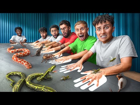 TRY NOT TO MOVE CHALLENGE