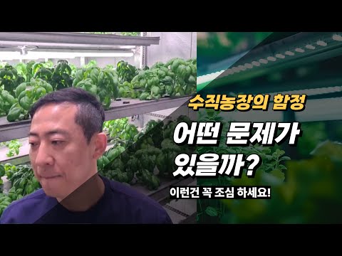 평당 1200만 원 수직농장, 아직도 전기세도 못 뽑은 현실