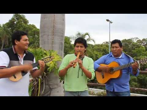 «О Палестина, край чудесный...»