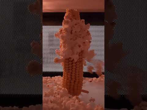Popping corn on the cob in the microwave