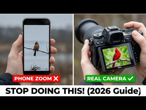 Top 5 Best Zoom Cameras in 2026! Tested & Ranked
