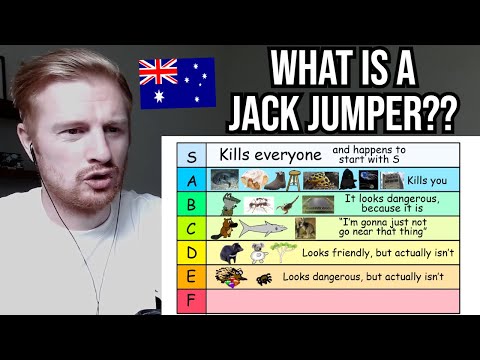 Reaction To Dangerous Australian Wildlife Tier List