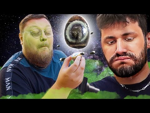 Delikatesse 1000-Jährige Eier | Schmackofatz 2