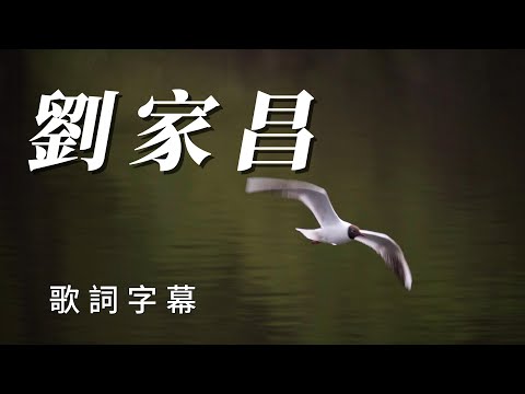 （劉家昌）。朋友敲劉家昌。用心分享。￼鼓勵我一下。哈哈😂！