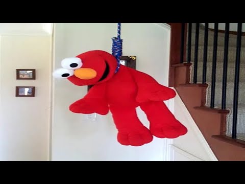 1 hour of memes but it feels like 5 minutes