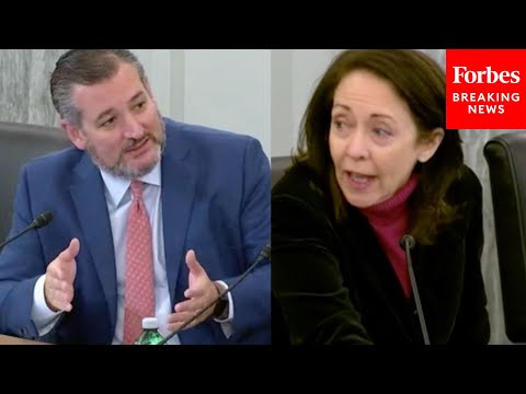'No, No She's Not': Cruz And Cantwell Clash Over Witness Questioning