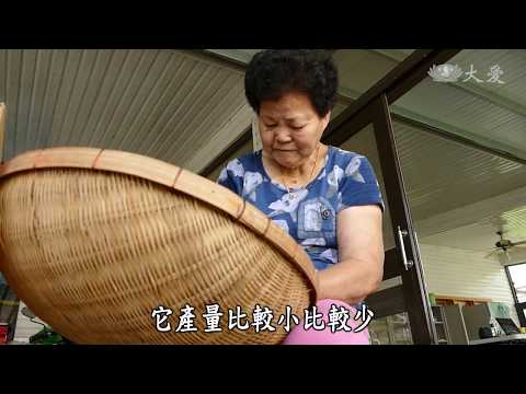 【農夫與他的田】20181228 - 把黑豆種回來