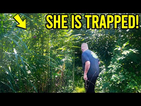 She’s Been TRAPPED Inside for 10 Years, What I Found Was SICKENING