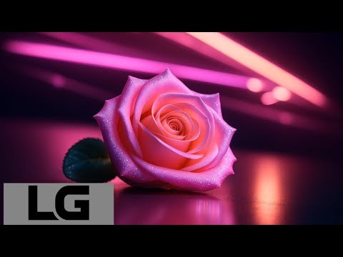 ROSÉ 'QUEENS OF ROSES' M/V F/M