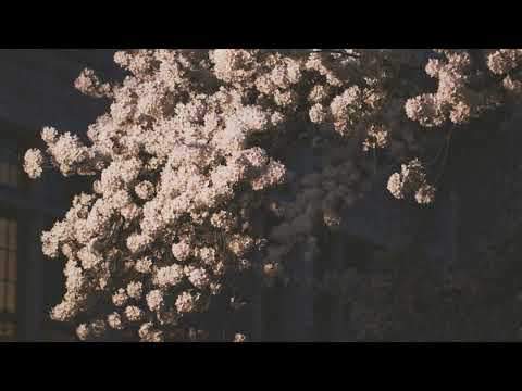 [𝙋𝙡𝙖𝙮𝙡𝙞𝙨𝙩] A Night Bathed in Debussy’s Moonlight🌙