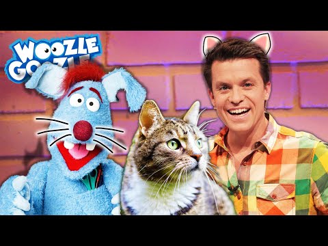 Wie ist eine Katze als Haustier? l WOOZLE GOOZLE