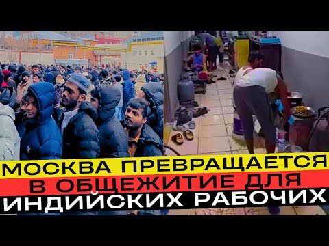 What's really happening to Indian migrants in Russia?