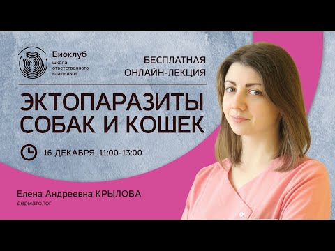 Эктопаразиты собак и кошек