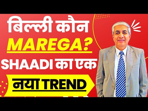 Billi Kaun Marega ? | A Practical Take On This Persistent Issue