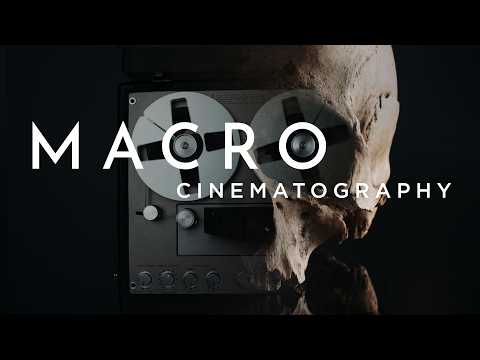 Macro Cinematography Experiment with Mindhunter and the Laowa Sword lenses – Test & Review