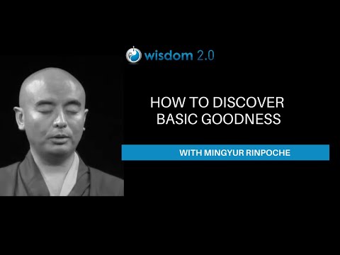 True Meditation with Mingyur Rinpoche & Richard Davidson