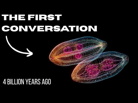 The First Language Wasn't Words | How Cells Learned to Talk