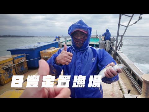 日豐定置漁場 | 台灣海鮮全靠海上戰士!現撈臭肚煮印尼泡麵 凌晨兩點半出海抓魚 洘流底全記錄!ていち ぎょぎょう |台湾の海産物はすべて海の戦士に依存しています Taiwan fishing