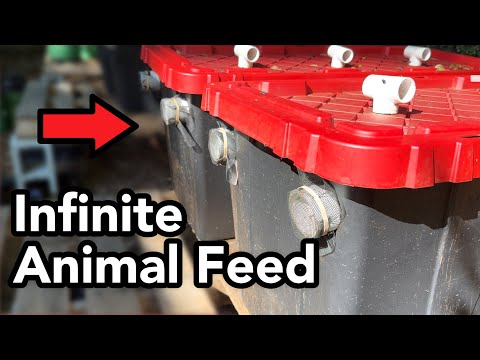 How To Make Infinite FREE Animal Feed