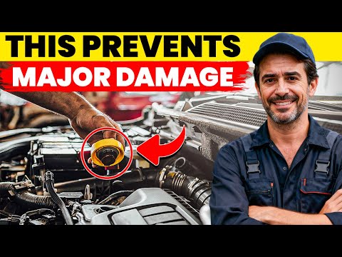 Your Car Is Doomed Until You Learn This: Mine Survived 976,000 Miles