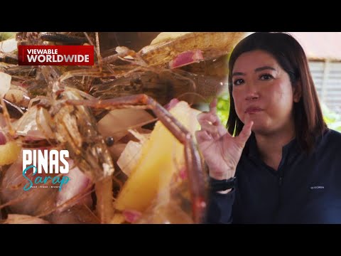 Jumping salad ng Tarlac, mapapatalon ka kaya sa sarap? | Pinas Sarap