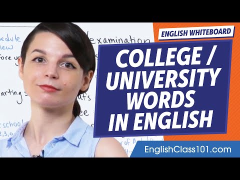 College/University Vocabulary | Learn English Vocabulary for Beginners