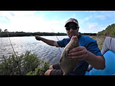 Коли Кращий Кльов. Риболовля на Фідер на Десні