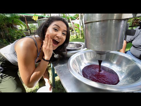 How Acai in the Amazon is REALLY Made