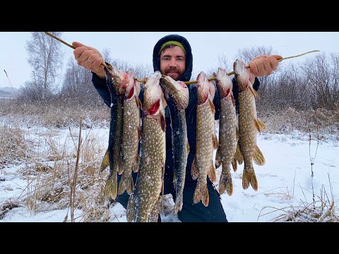 Excellent fishing with tip-ups. Generous first ice.