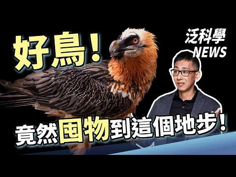 暗能量跟暗物質都是多餘的？水泥做的電池真的能用！117歲人瑞吃這些長大！【泛科學NEWS EP28】